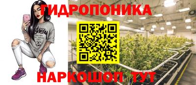 гашик Аргун
